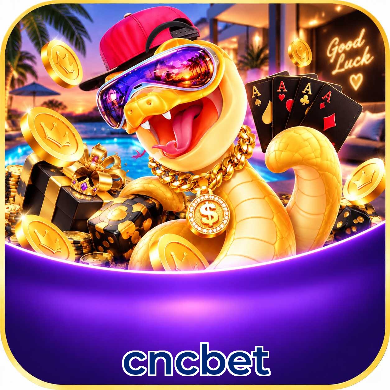 Especificações técnicas download cncbet