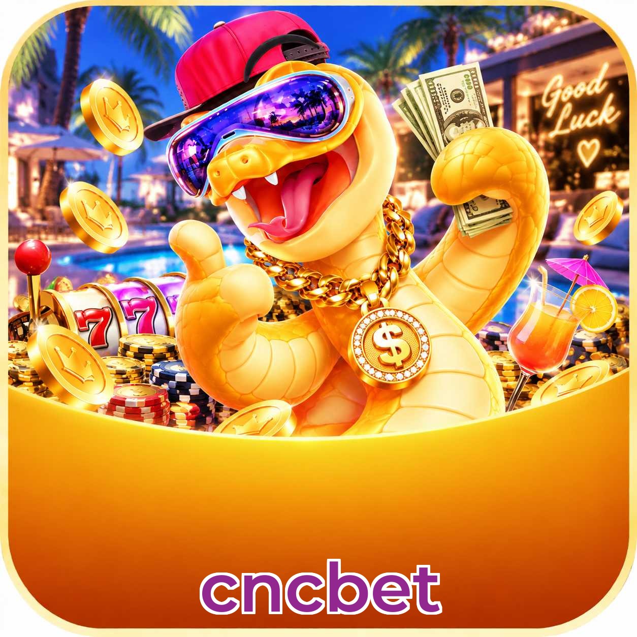 Especificações técnicas download cncbet